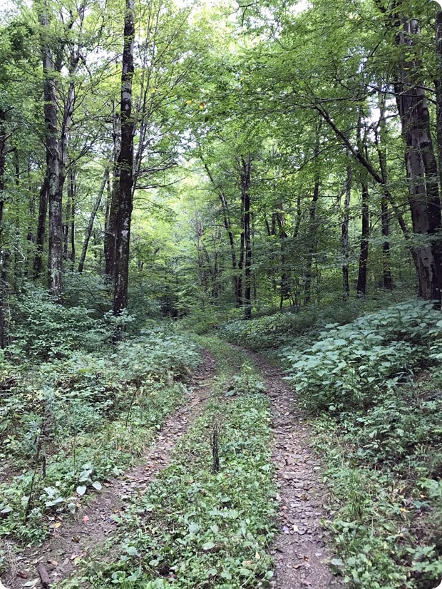 loft mountain loop hike