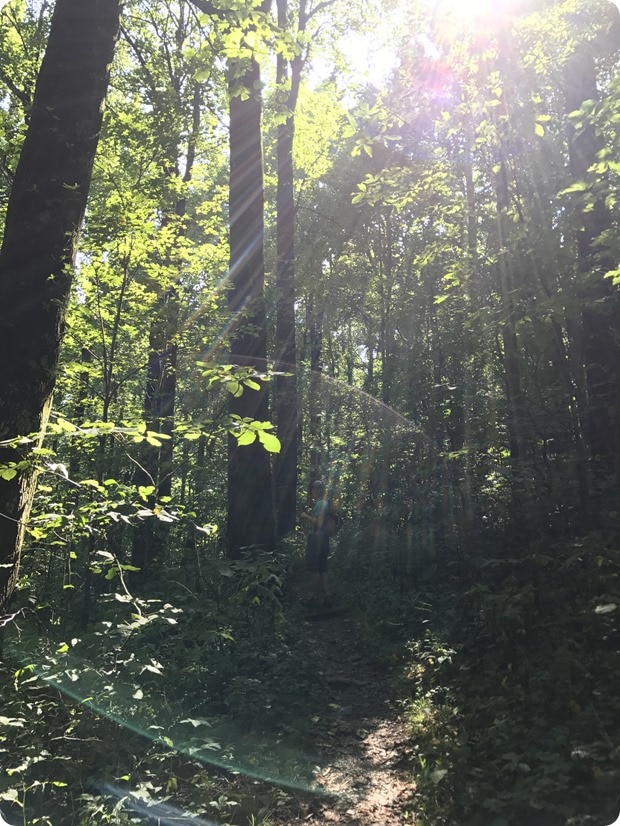 powell gap shenandoah