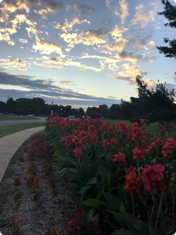 sunrise dc memorial bridge