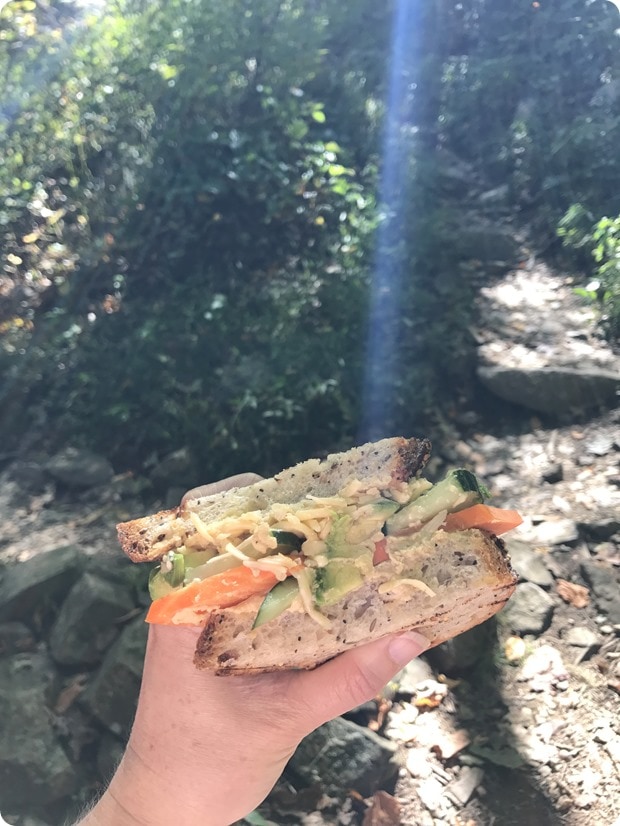 skyward cafe sandwiches