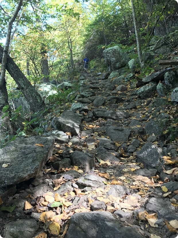 mary's rock summit hike
