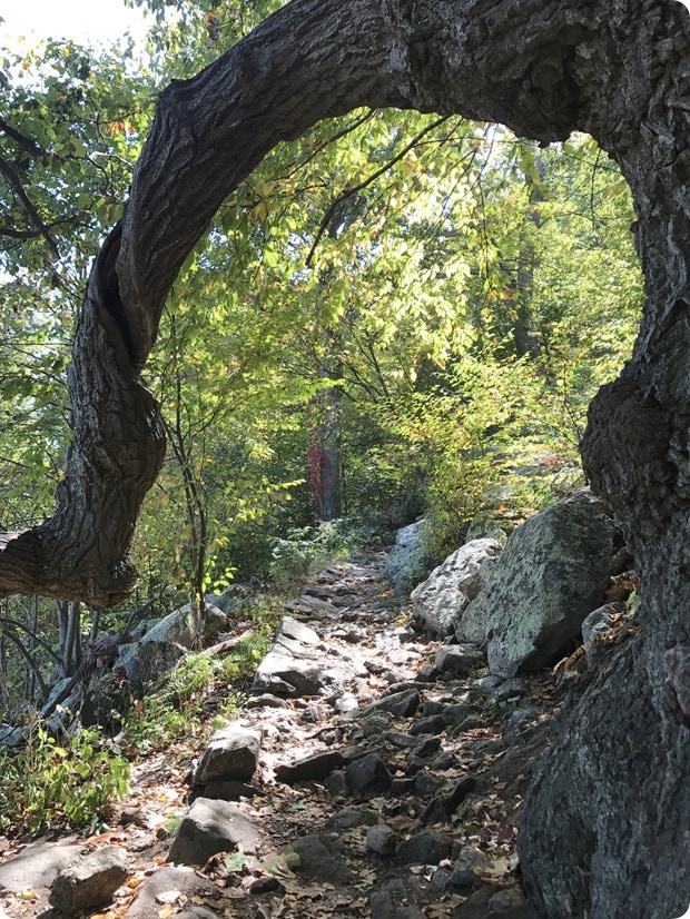 mary's rock hike