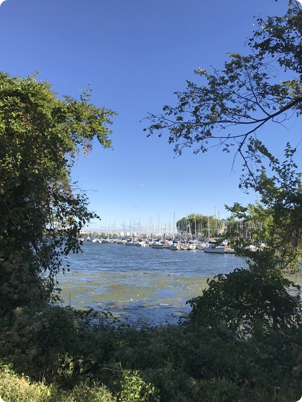 washington sailing marina