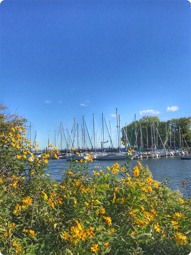 washington sailing marina