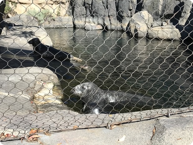 dc zoo
