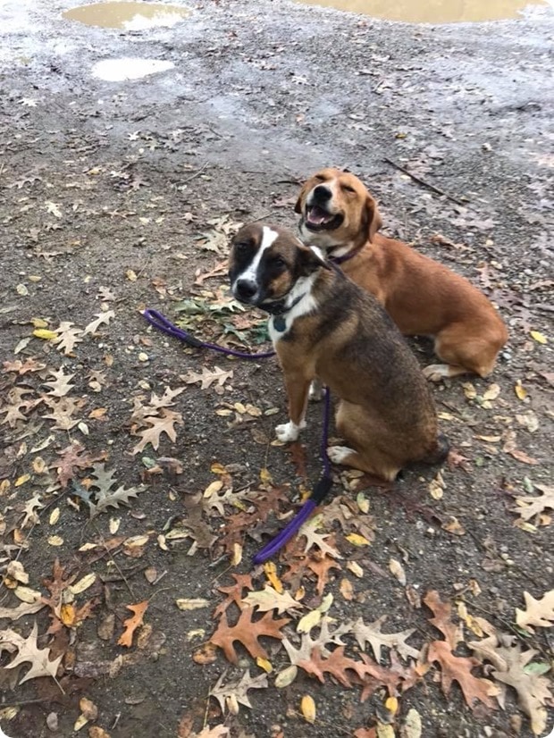 ashe and freyja