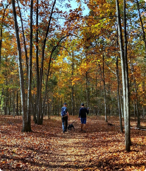 fall in virginia