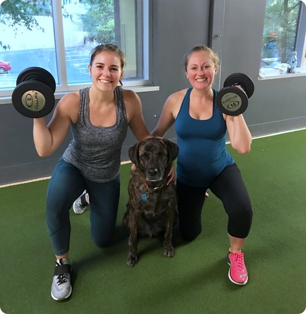 bodymass gym flex the dog