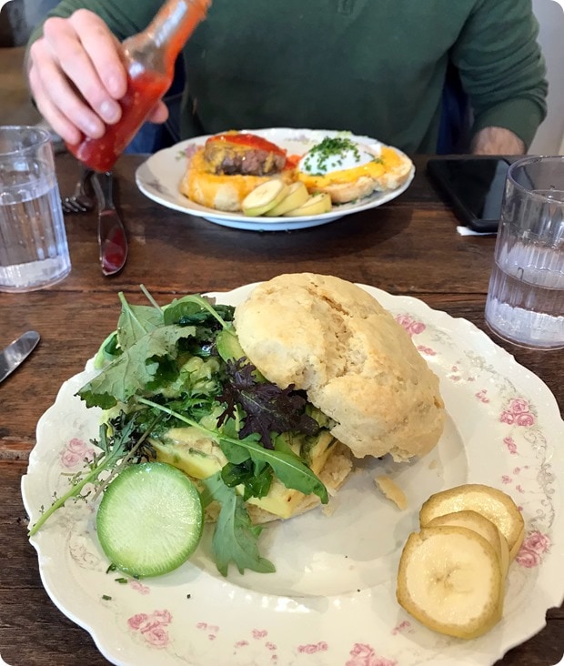 stomping ground biscuit sandwich