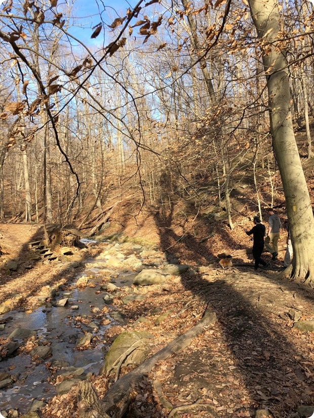 hiking northern virginia