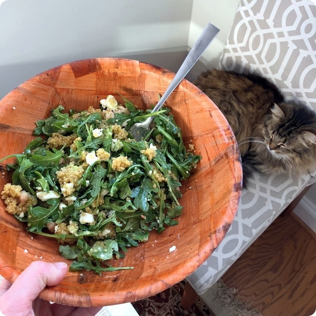 orange quinoa salad