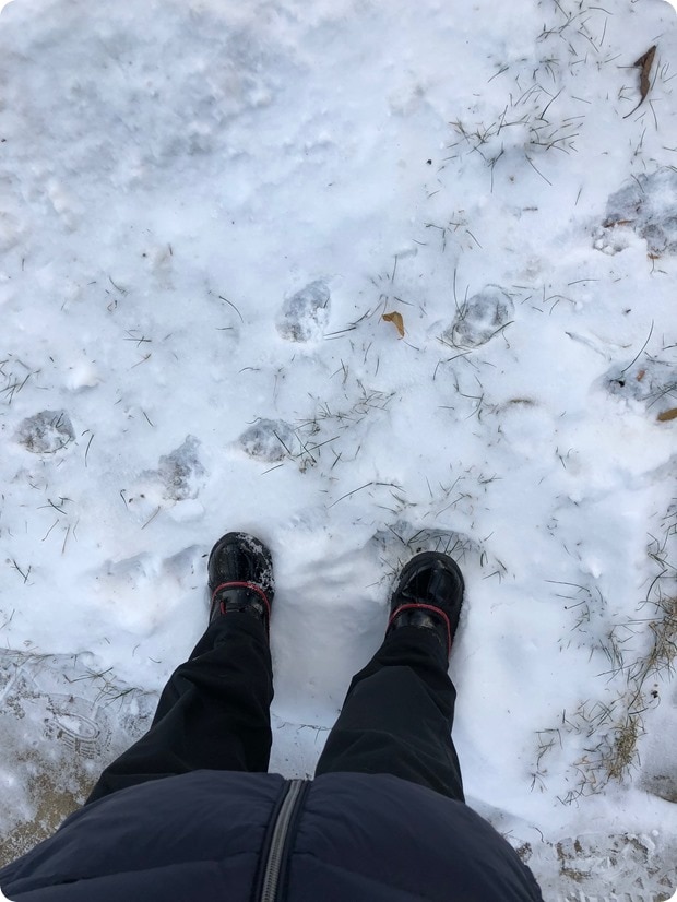 snow day