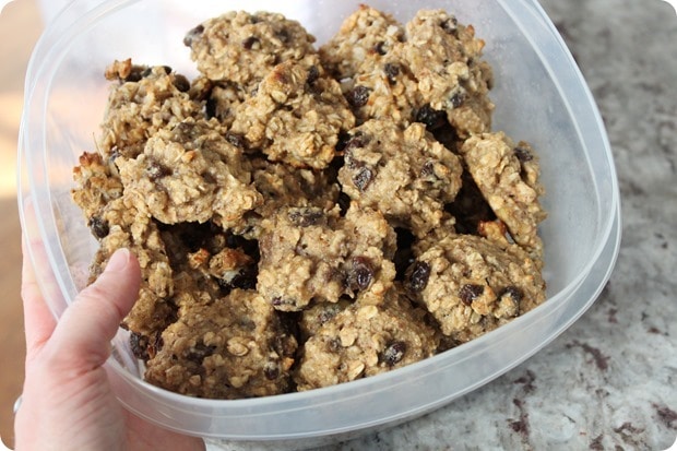 oatmeal banana coconut cookies