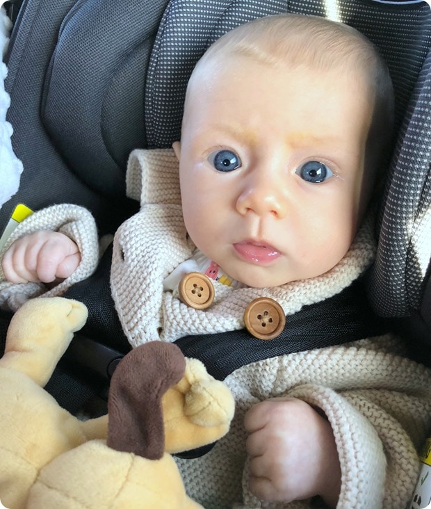 baby blue eyes baby blue eyes