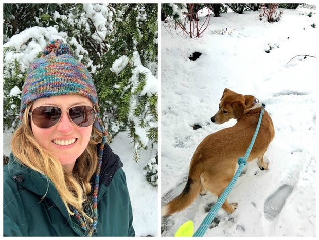 arlington va snow day