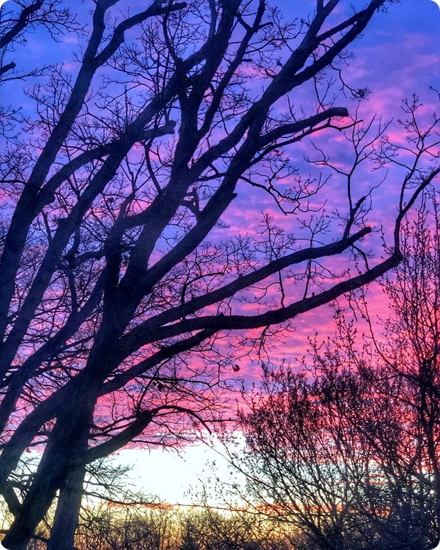 gorgeous morning sunrise