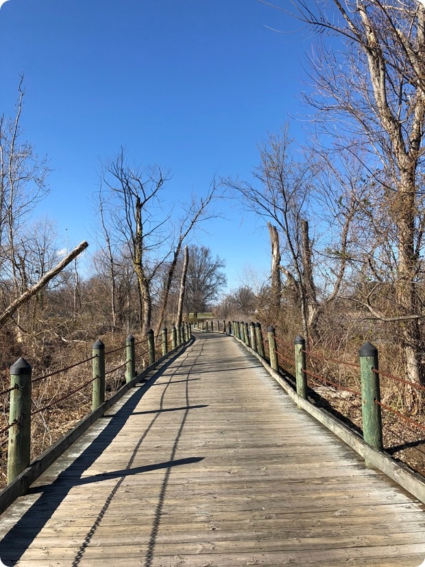 mt vernon trail