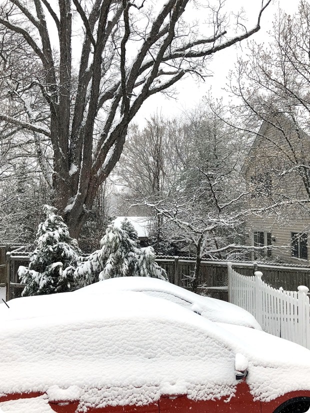 snow day arlington va