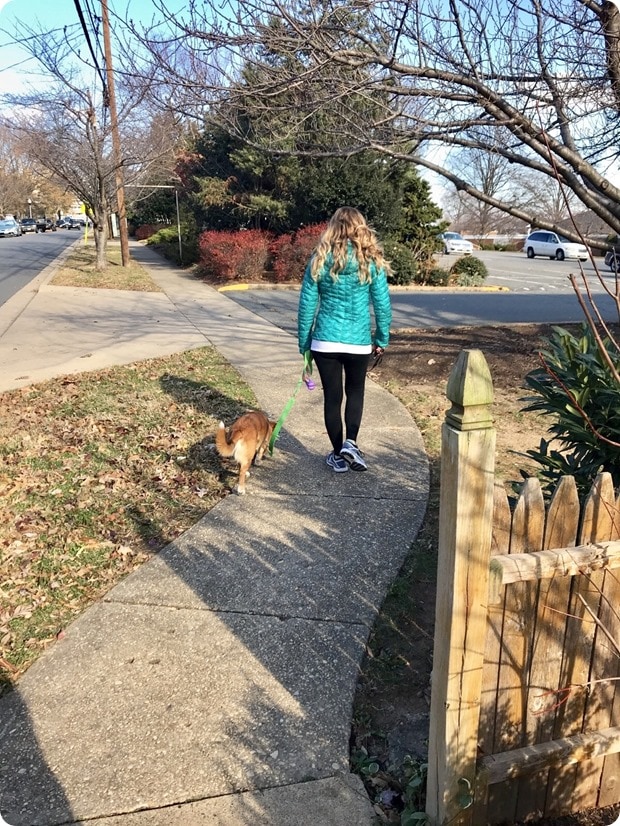 walking the dog