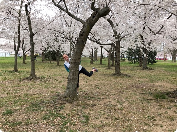cherry blossom morning run 13