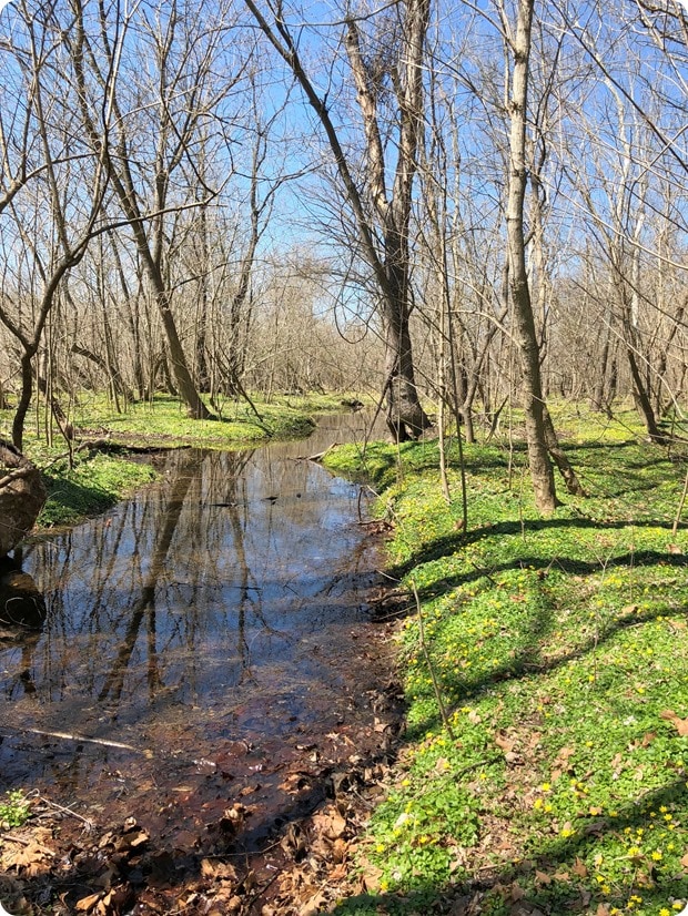 c&o canal off road trail