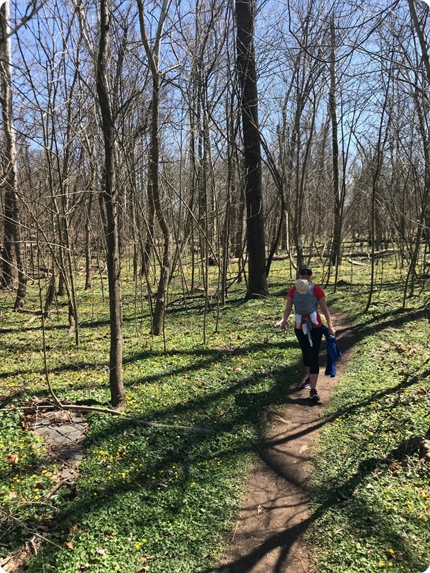 fletcher's cove hike3