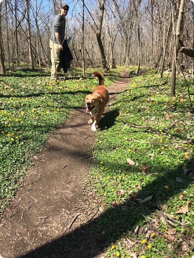 fletcher's cove hike4