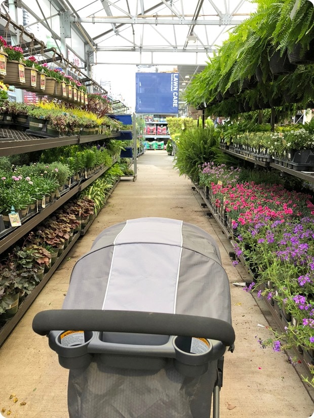 flower shopping with baby
