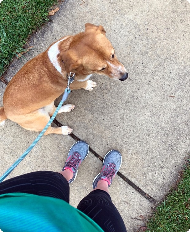 morning running buddy