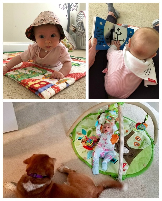 play time with baby and dog