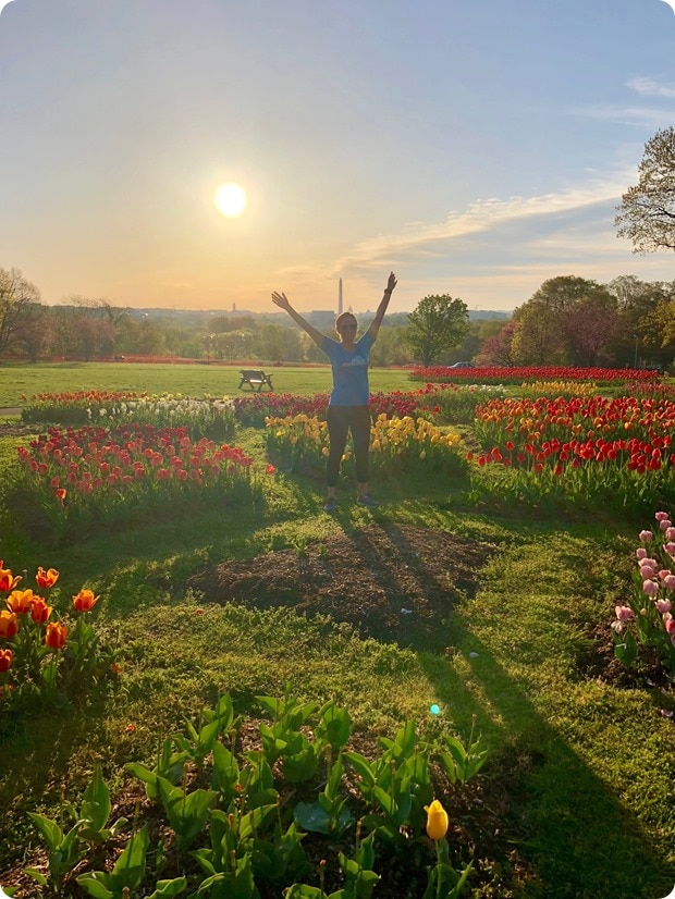 virginia tulip run