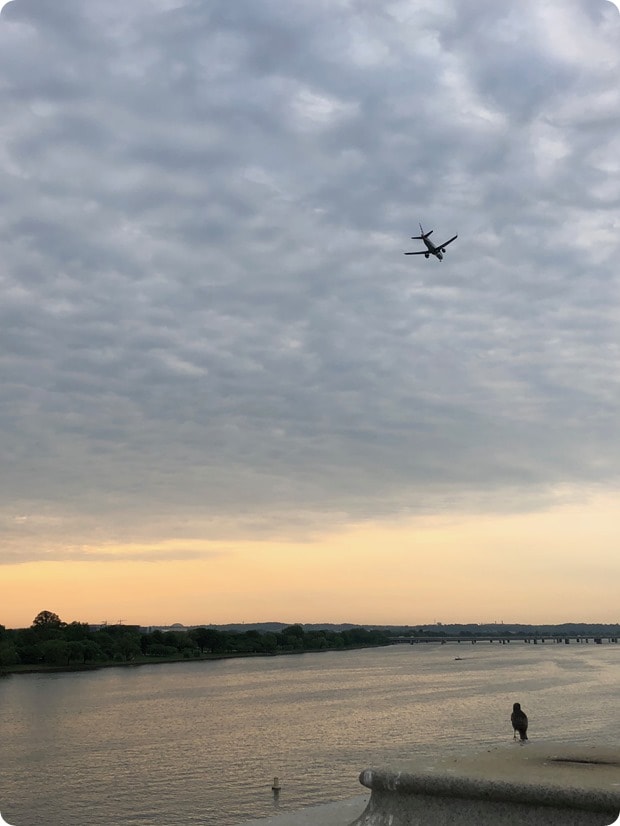 dc early morning run2