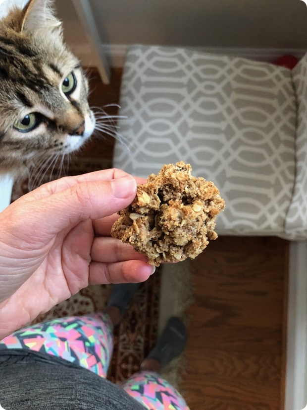 peanut butter power cookiese