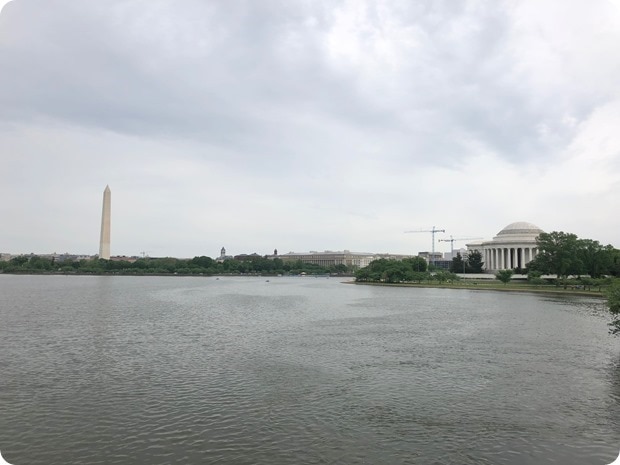 running around the tidal basin in dc