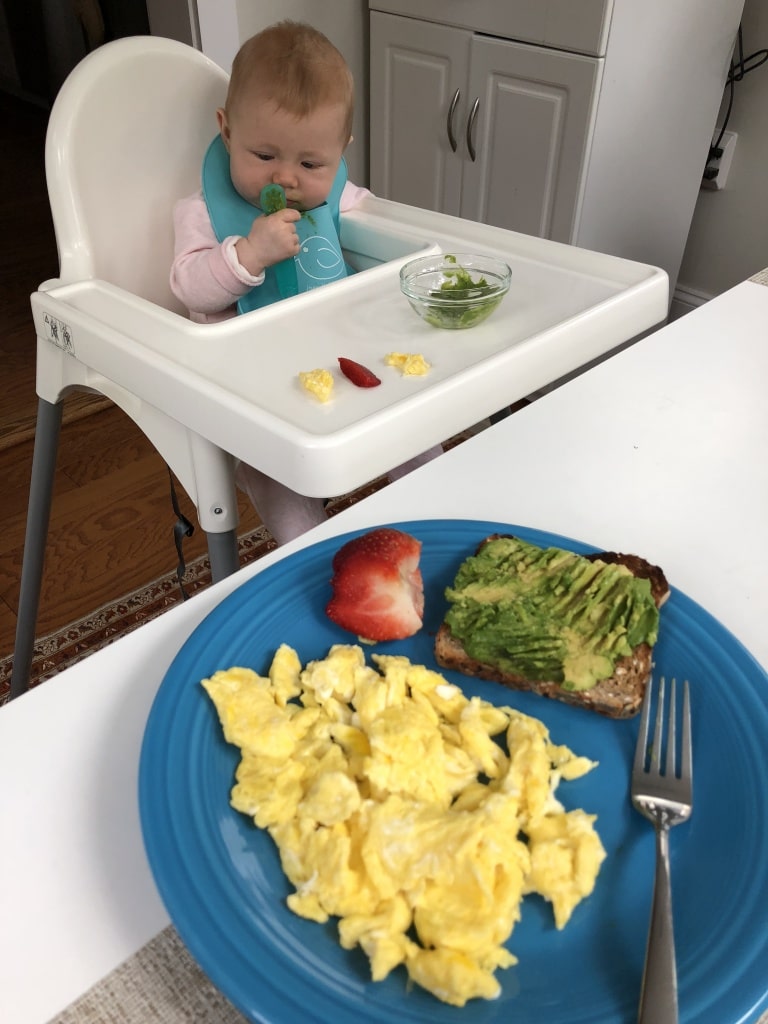 baby led weaning