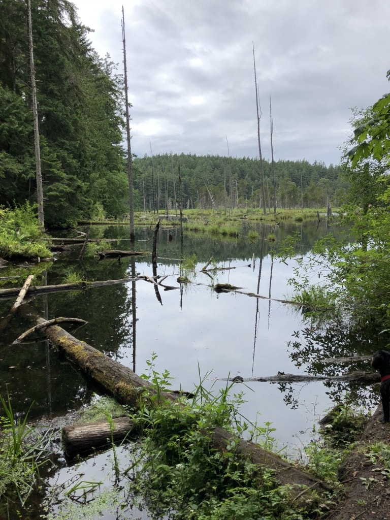 anacortes hiking