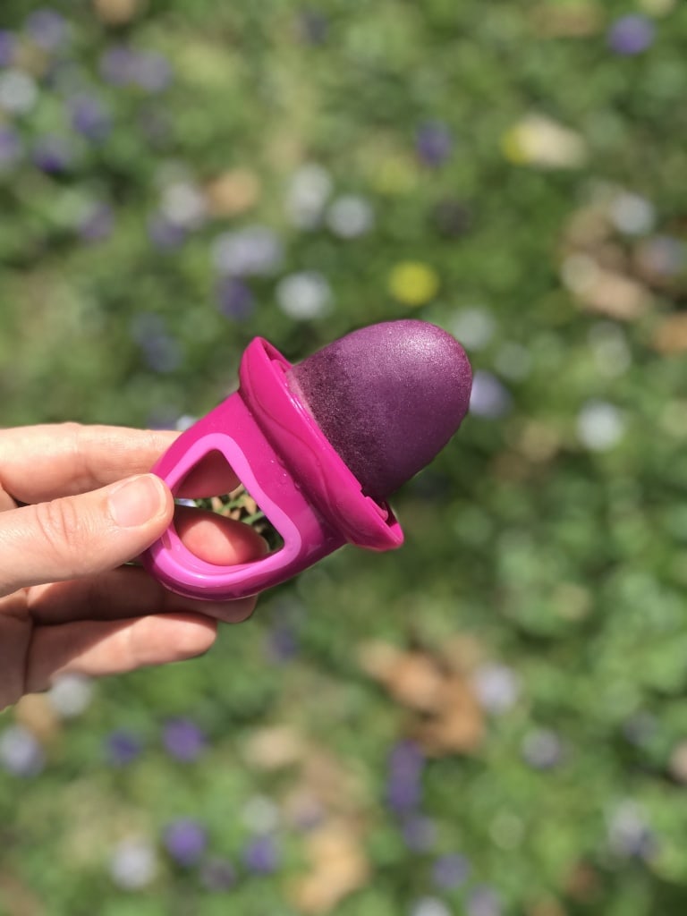 baby led weaning popsicle made with fruits and vegetables