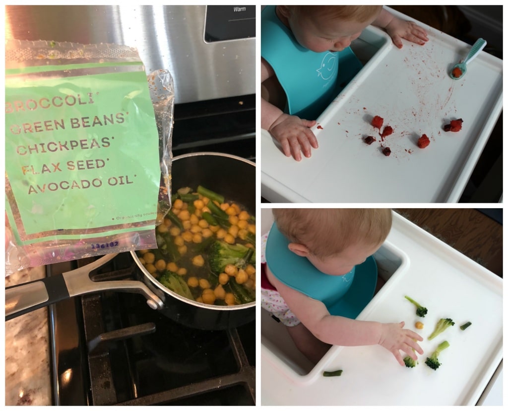 raised real baby food review