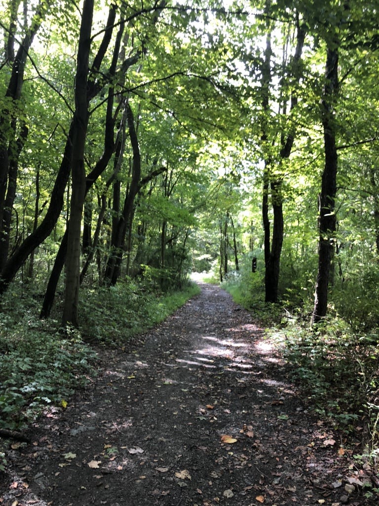 sewickley heights borough park