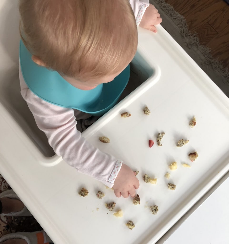 baby led weaning ideas 10 month old