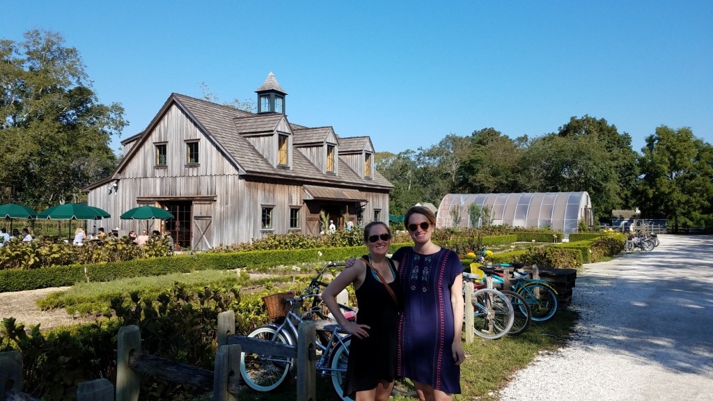 beach plum farm cape may