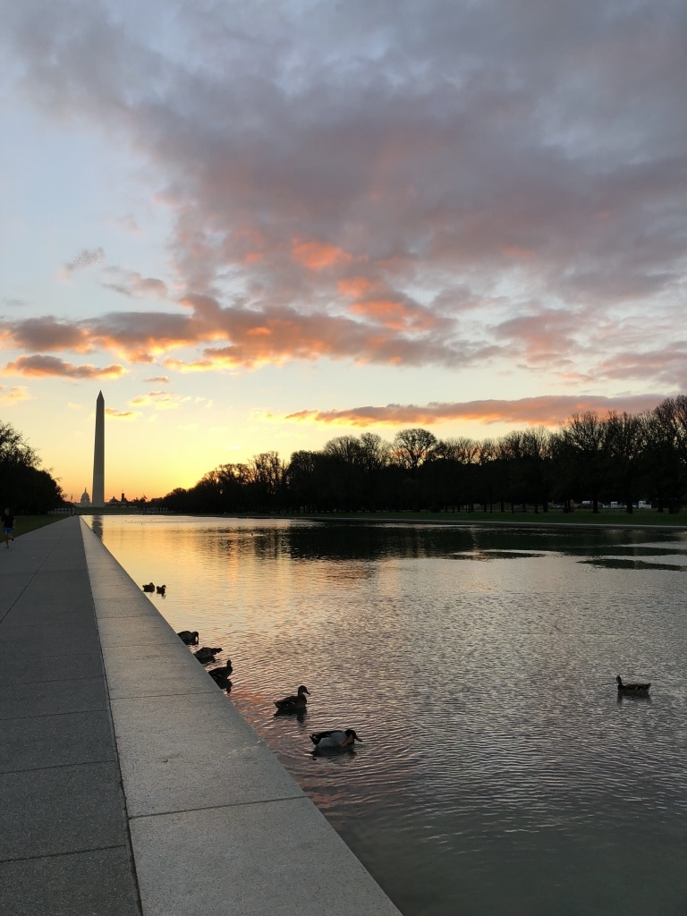 tidal basin dc sunrise view