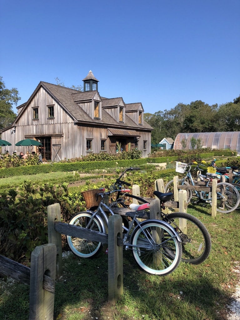 beach plum farm cape may