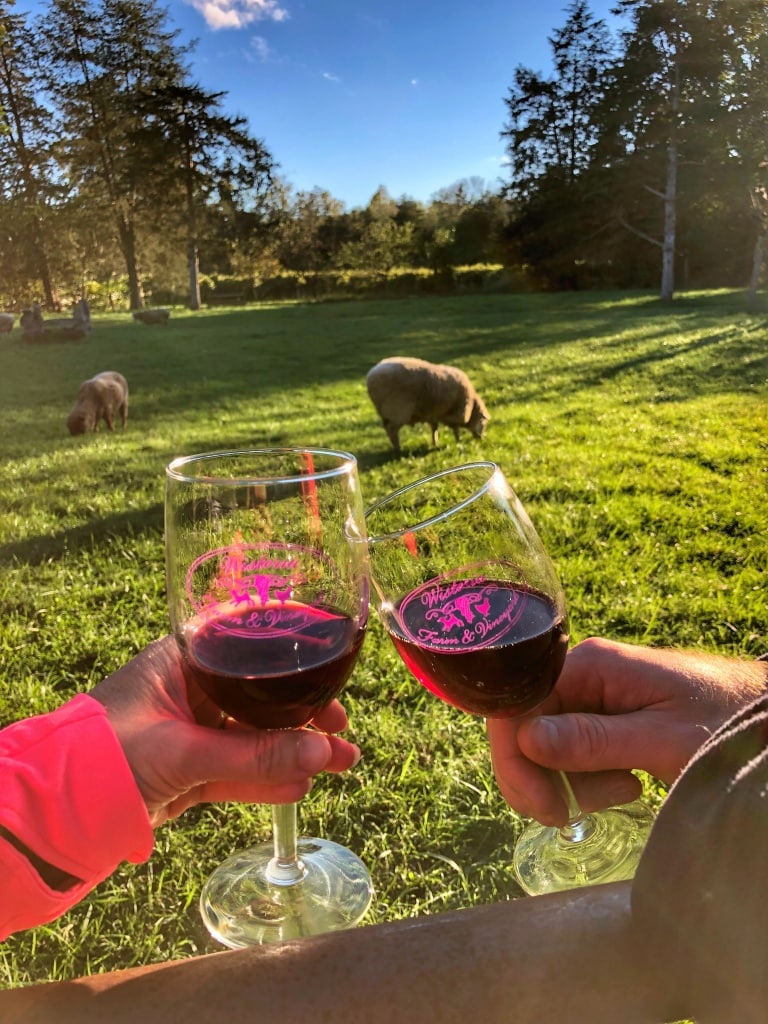 wisteria farm and vineyard