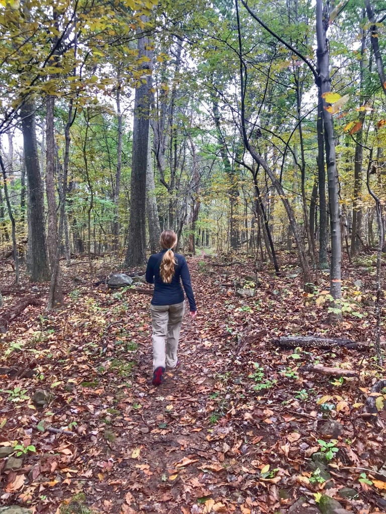 snead farm loop trail