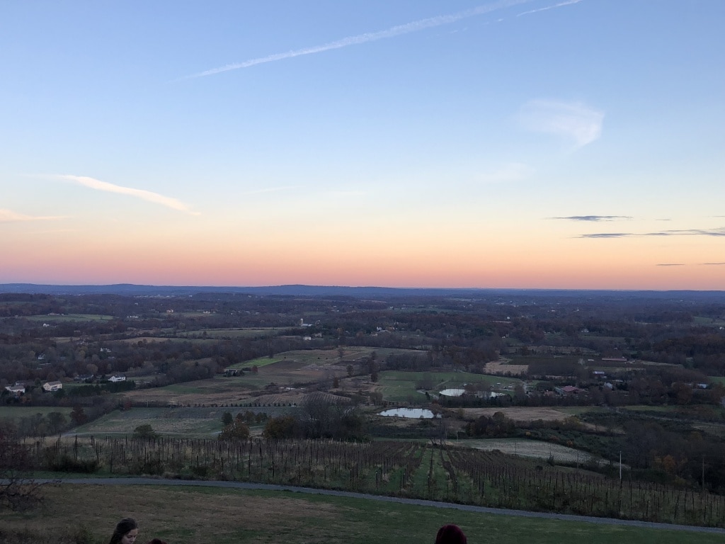 dirt farm brewing view