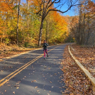 rock creek fall colors run