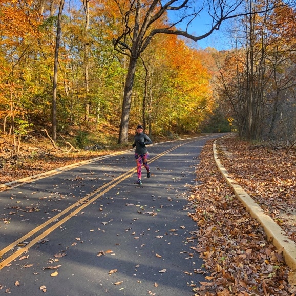 rock creek fall colors run