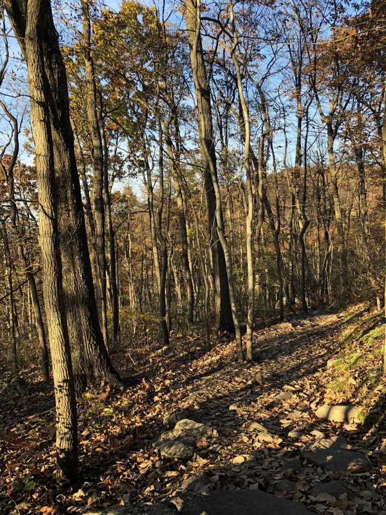 hiking at ravens rock