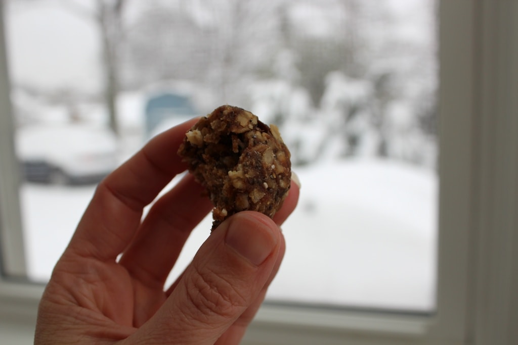 peanut butter snack balls